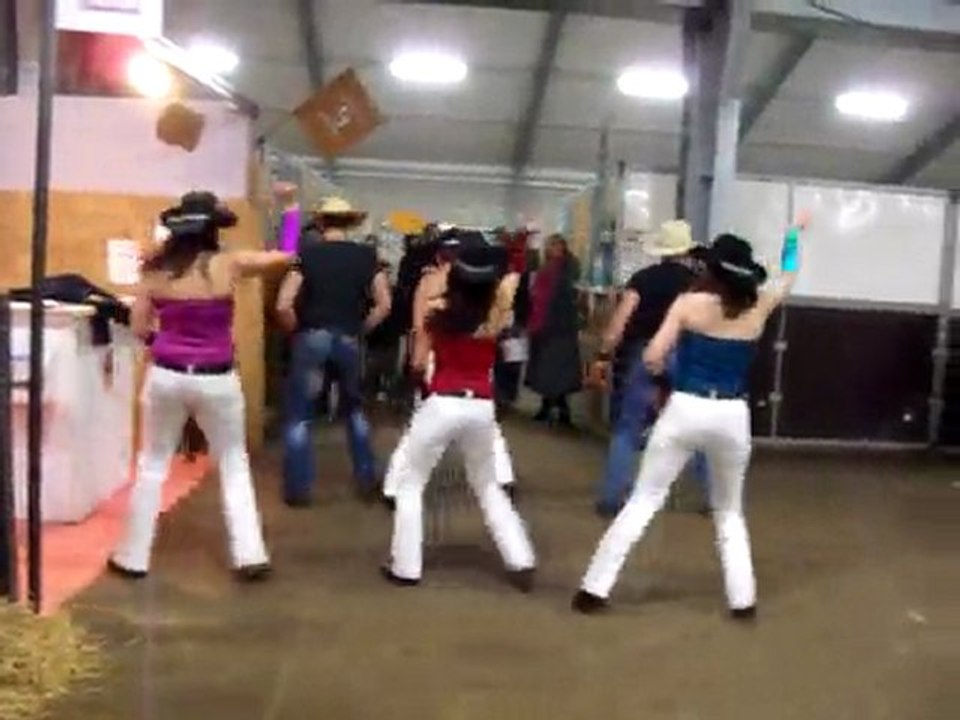 cheval passion 2010 BB polka