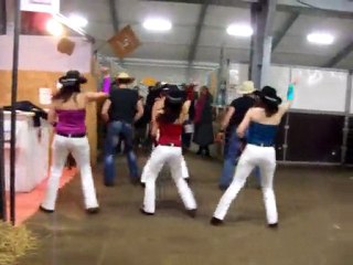 cheval passion 2010 BB polka