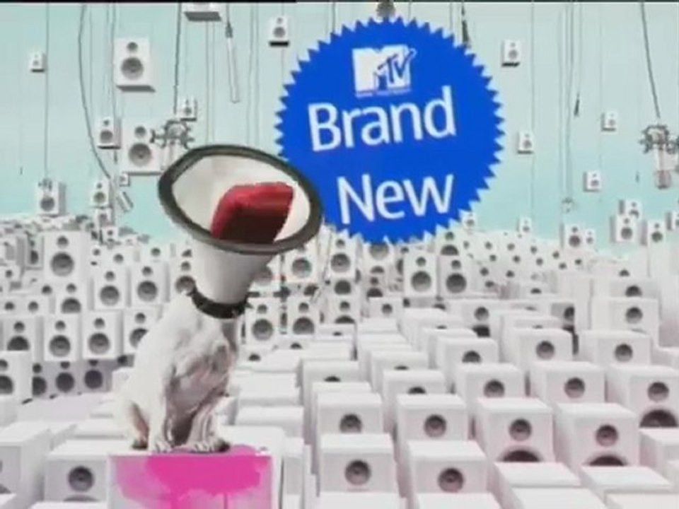 Promo Brand:New Tapete: JOÃO SÓ &  ABANDONADOS