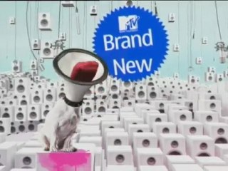 Promo Brand:New Tapete: JOÃO SÓ &  ABANDONADOS