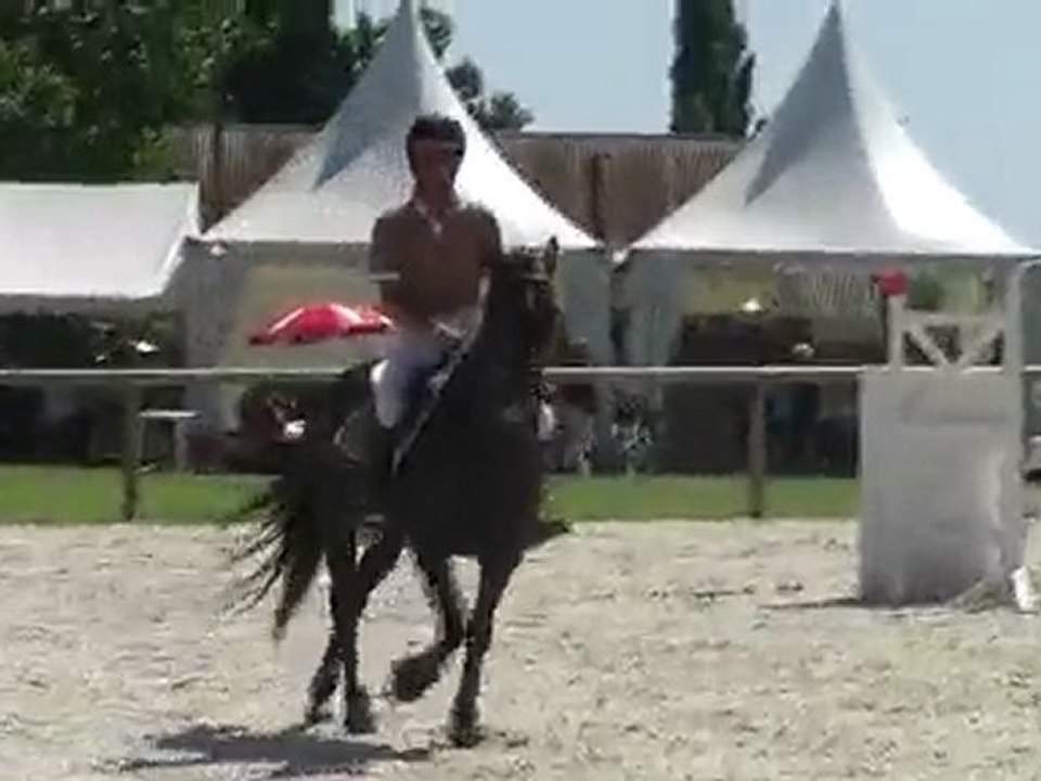 Normandie Horse Show 2009 Kavall de Leyrieux & Ju' 1er D3p