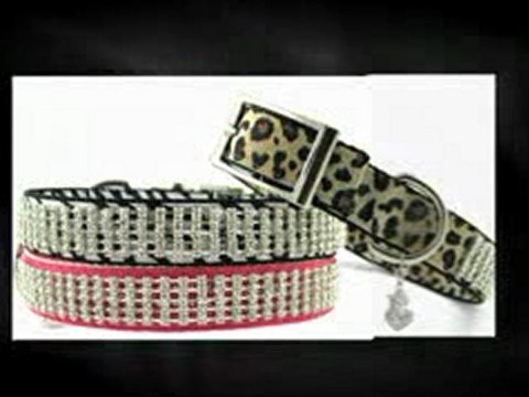 Bling Dog Collars - Furry Fashionista