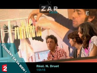 Zapping du 26 janvier 2010