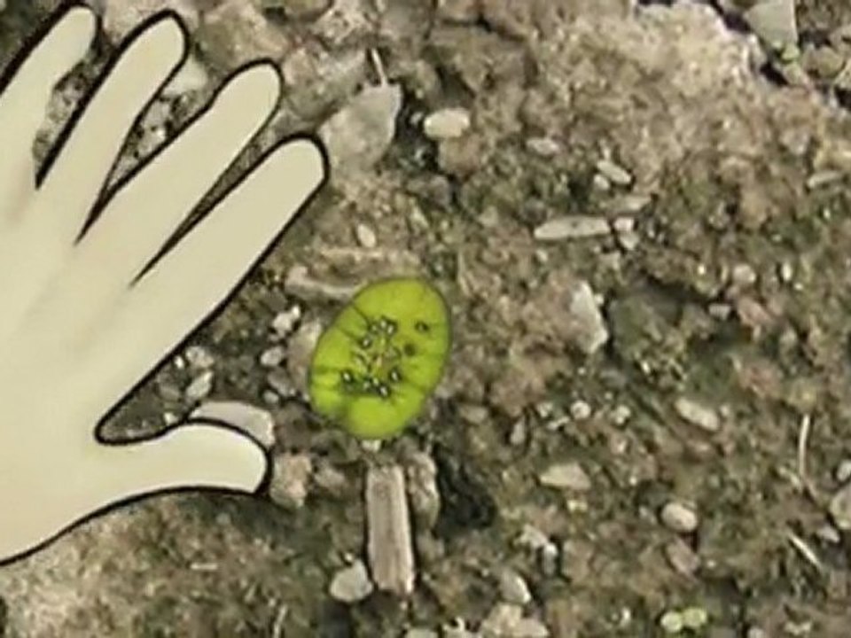 Radicle by Jordan Balinski & Jordan Popowich