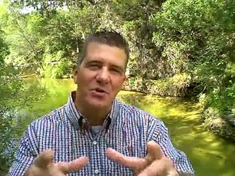 Home Based Business Income Opportunities : How to become a