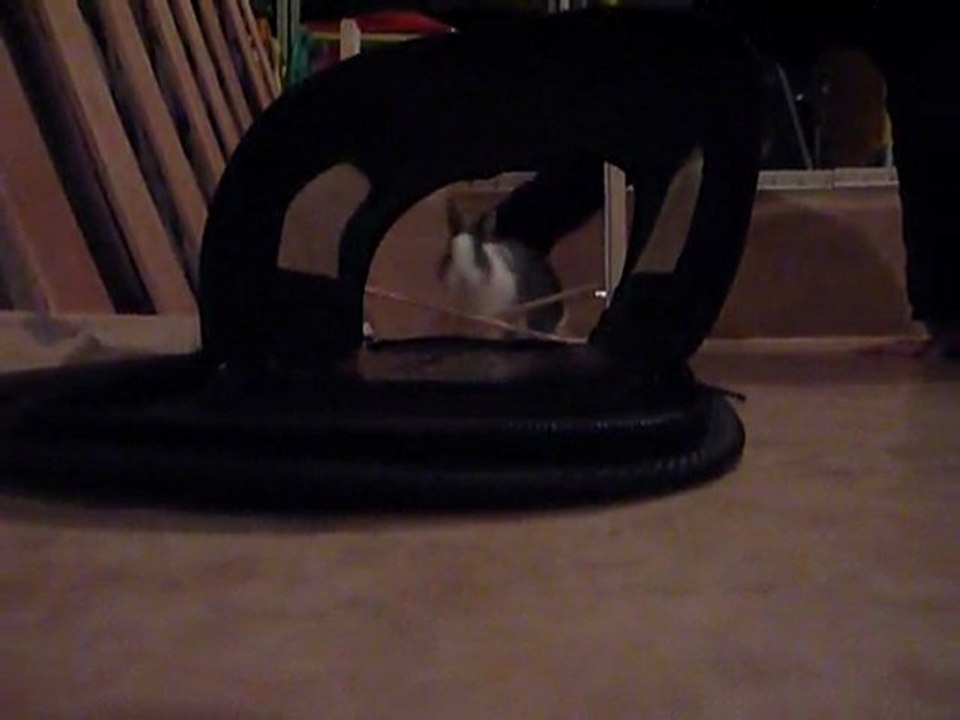 Petit saut ;)