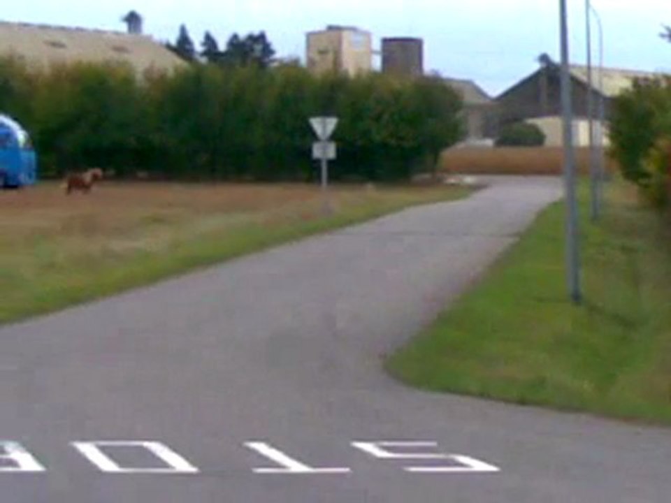 romain vs 206 rcc prepa