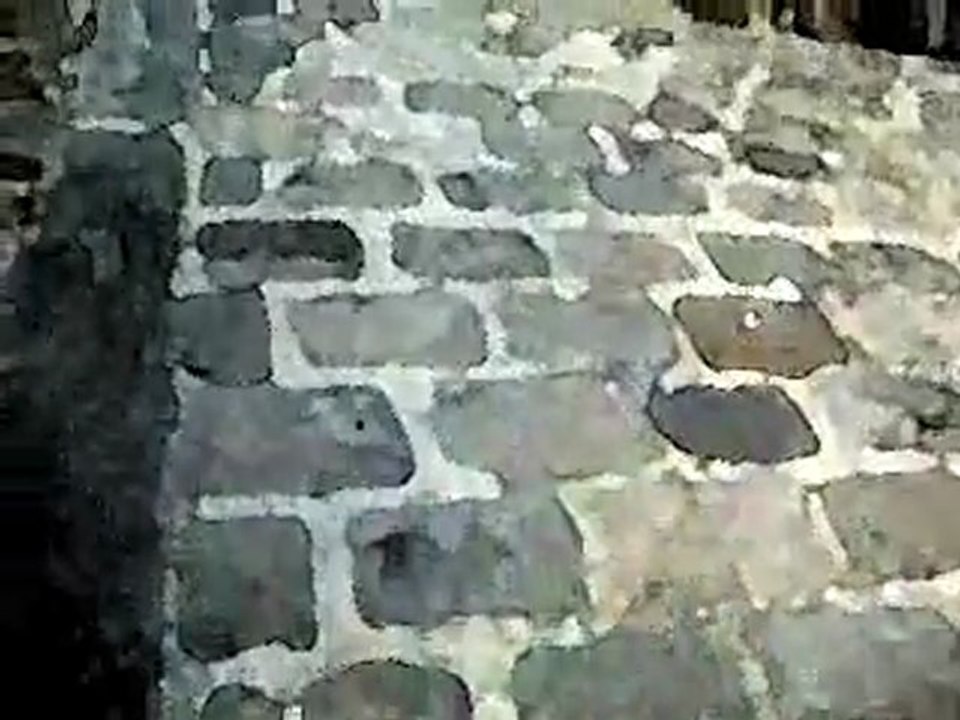 Hallucination par le poète PARHAL  wikipédia vidéo