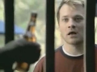 Cest pas à un (vieux) singe...