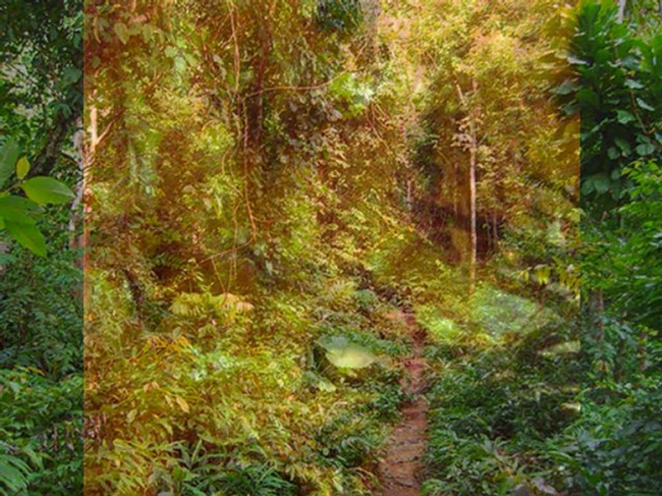 chia du maroc شيعة المغرب بعد حملة 2009