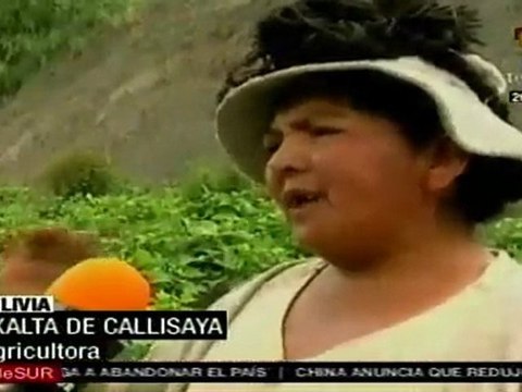 Cambio climático afecta agricultura en Bolivia