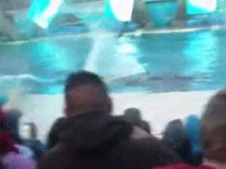 Seaworld, san diego,ca - day 1