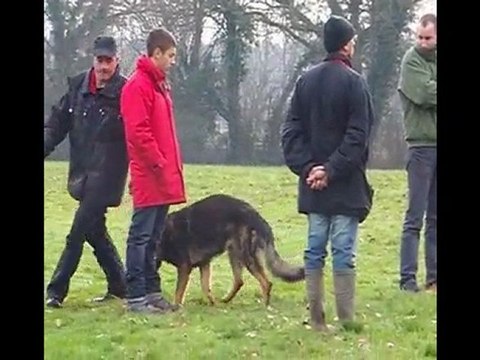 ayrton des orckis de l'adret : obé