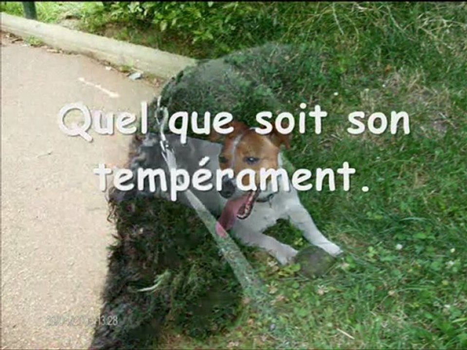 Allo 4 pat'