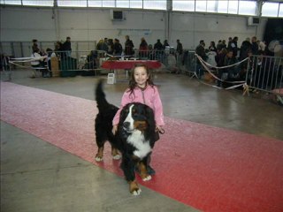 EXPO SPECIALE BOUVIERS MONTPELLIER