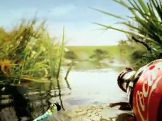 pub Coca-Cola 2010