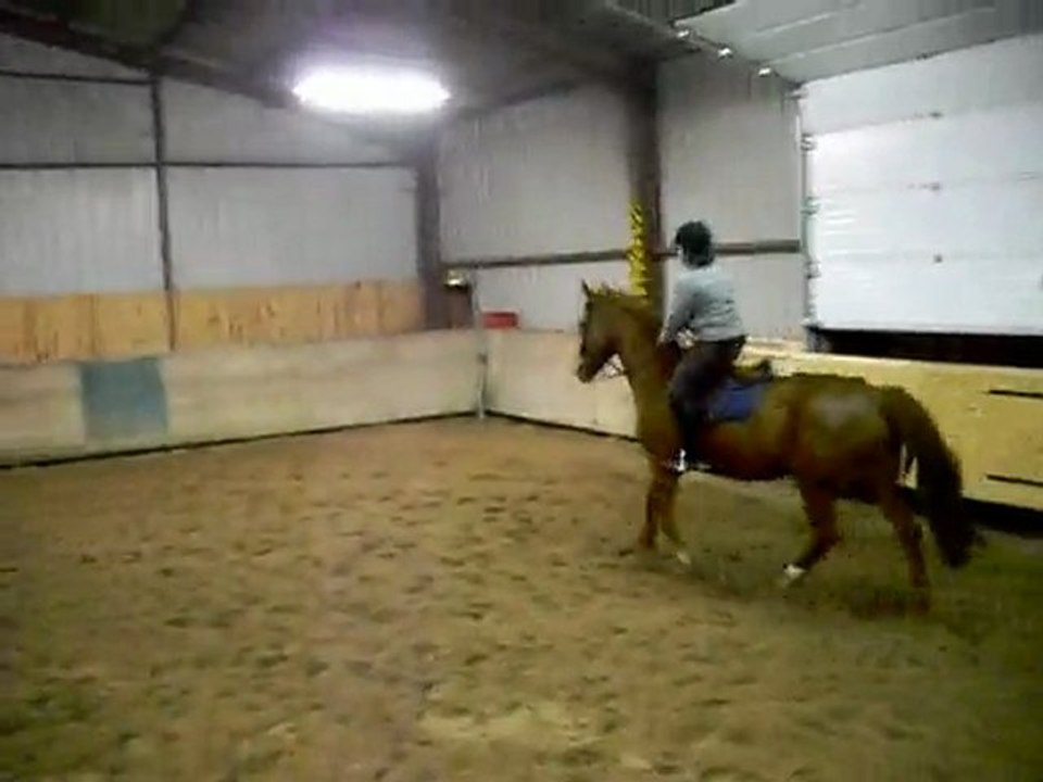 Galop du Mardi 26 Janvier 2010