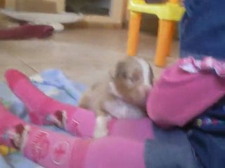 27/01:trop mimis!!!!!!!!!!!!!!!!