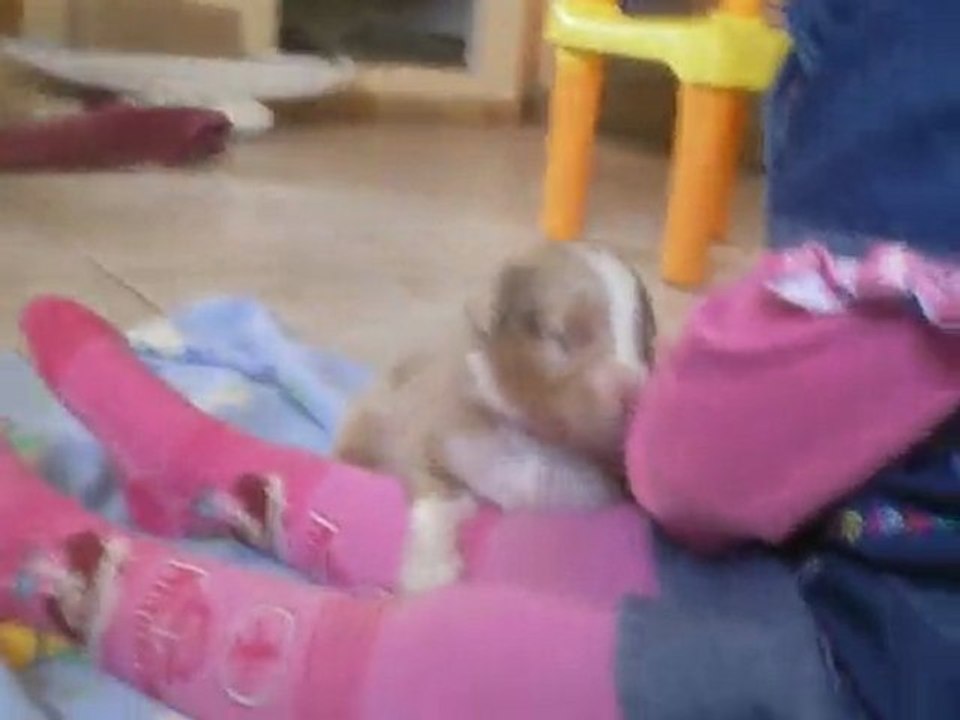27/01:trop mimis!!!!!!!!!!!!!!!!