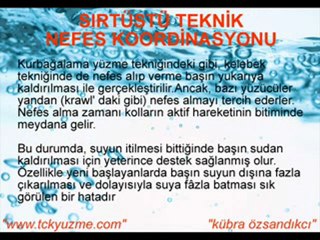 kelebek yüzme tekniği / kübra özsandıkcı
