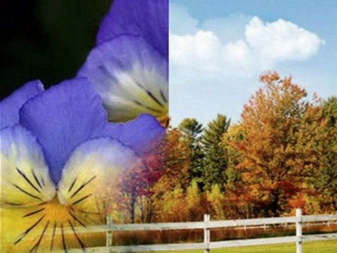 какво е нужно?