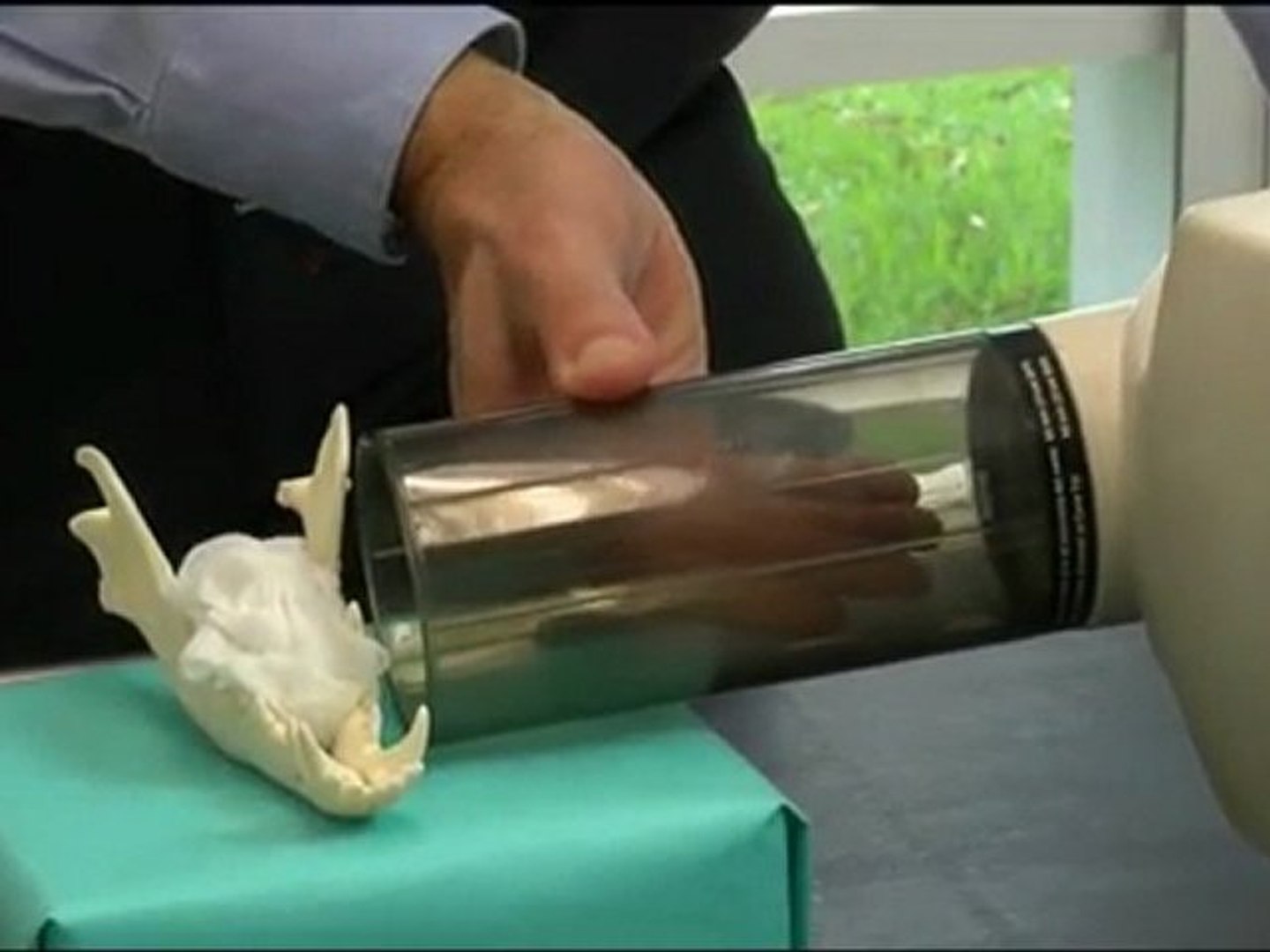 ⁣Veterinary dental radiology