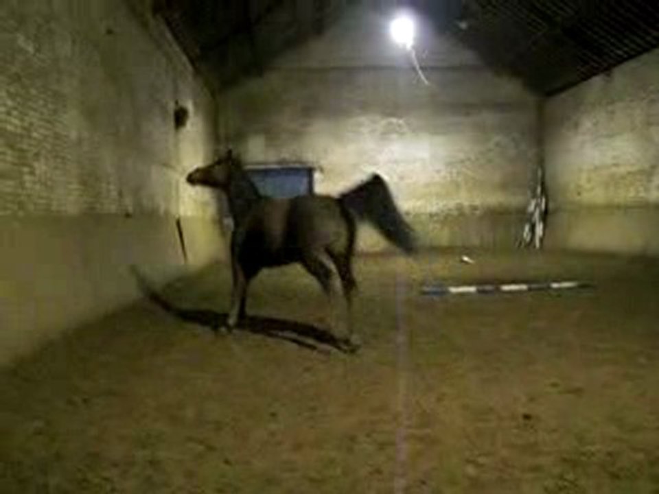 Grand-Fary se cabre !