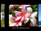 Kauai Vacation Rentals