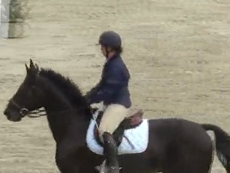 Equipe Marie Galyp' Minou Massai Paulin Pirouette CSO Quéven