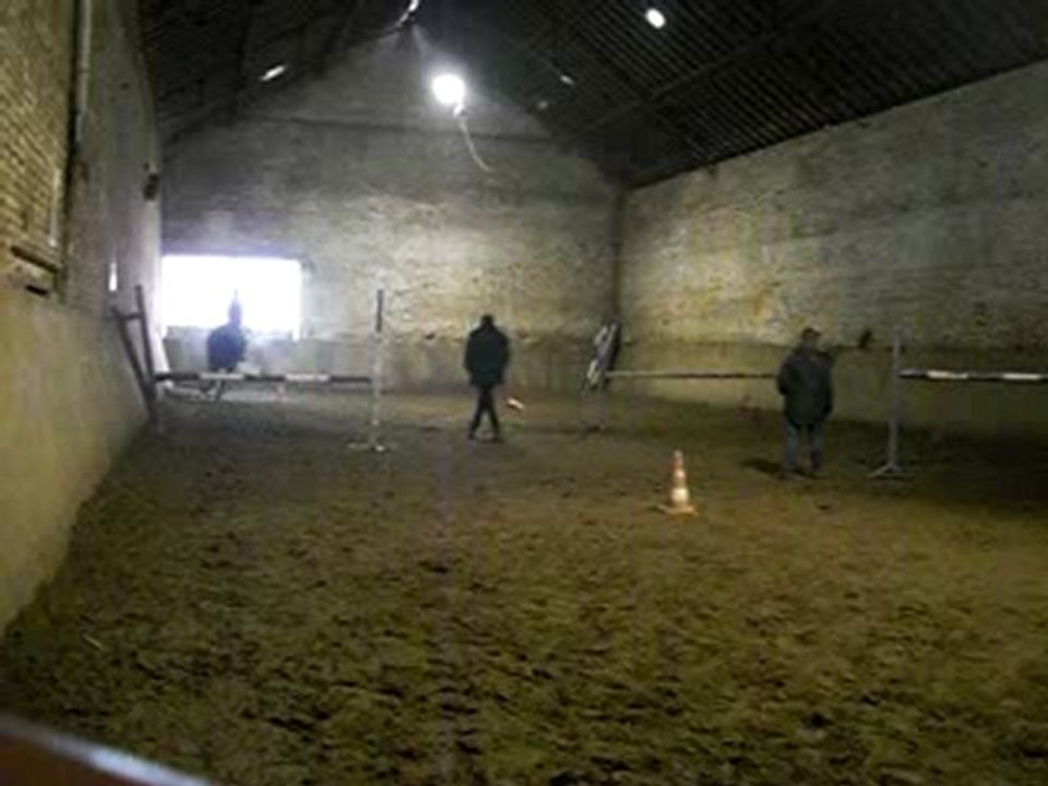 Scéance d'obstacle Polkathe et Camille