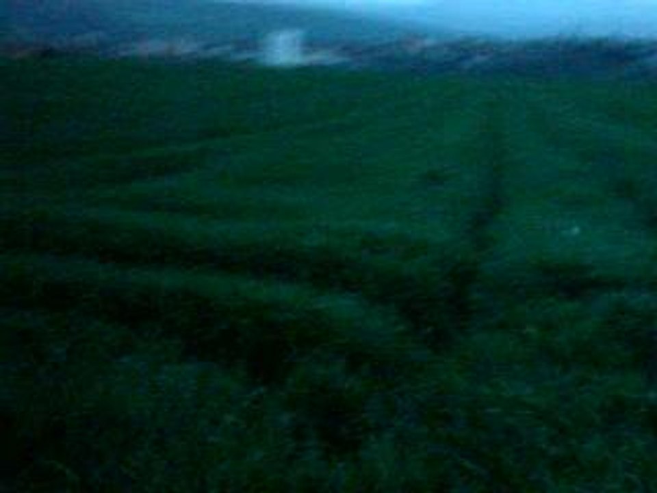 VARGAS ET ITI DANS LES CHAMPS