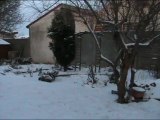 Le jardin sous la neige