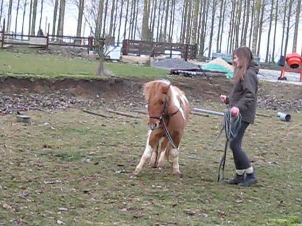 Janv2010