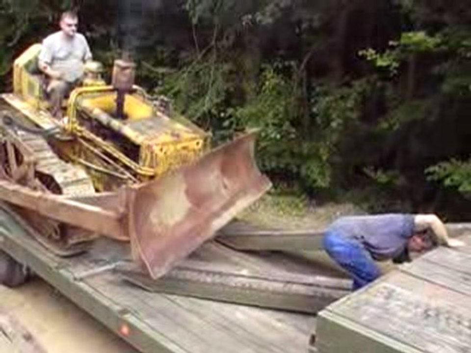 MOV01Bcat d2