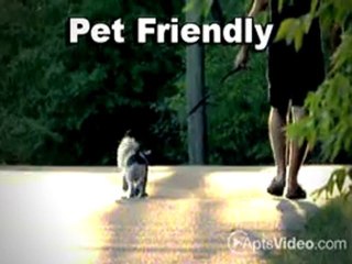 Circle at Lake Shore Apartments in Longmont, CO-ForRent.com