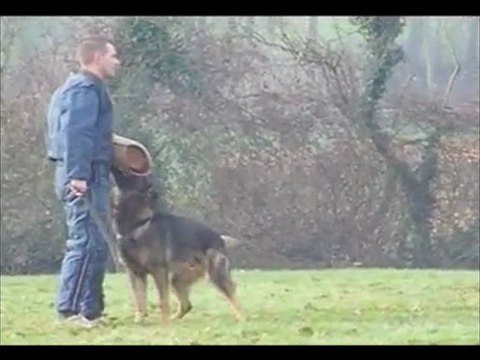 chap's des orckis de l'adret :défense