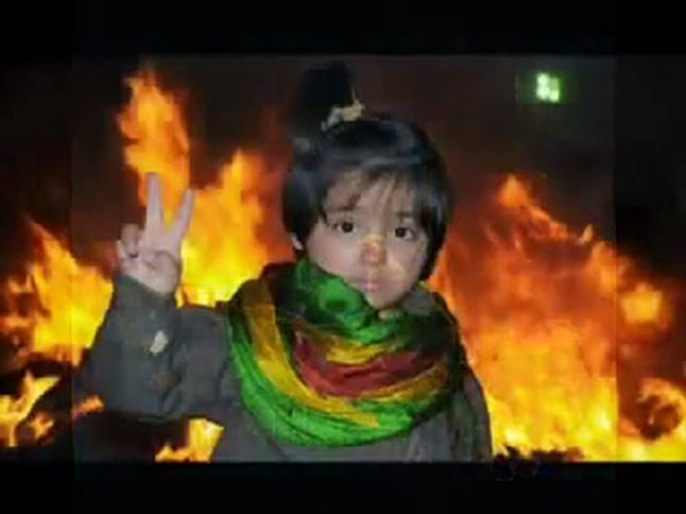 halit bilgiç-özgürlük çiçeğimsin