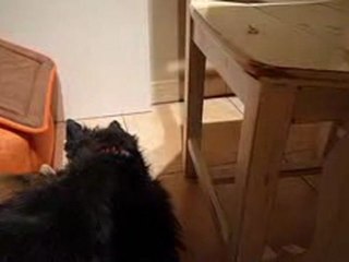 Daisy la gourmande !