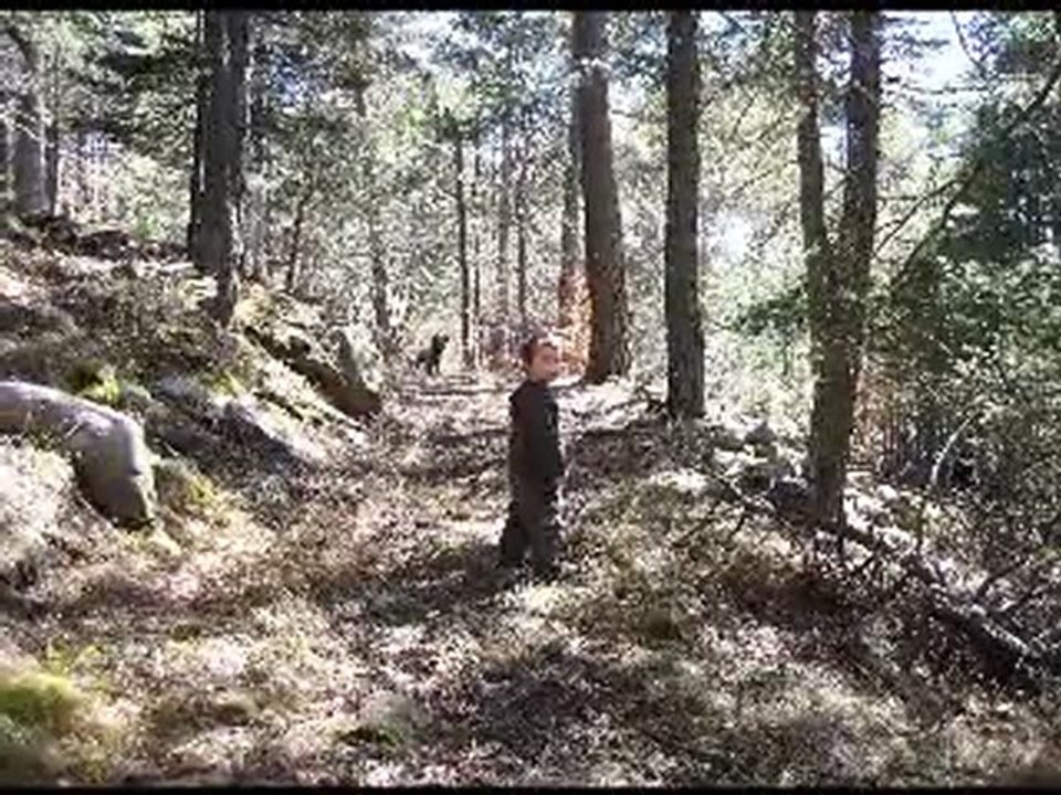 MOOJI - CE QUE LE BOUDDHA A DECOUVERT