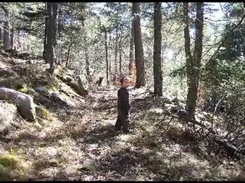 MOOJI - CE QUE LE BOUDDHA A DECOUVERT