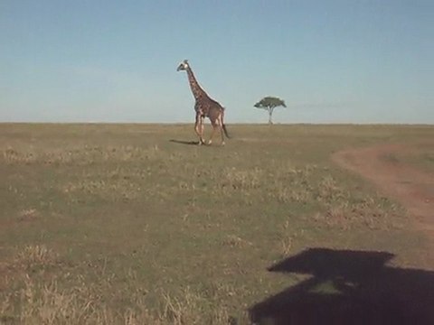 Travel to Africa with Claudious Tours and Safaris in Kenya