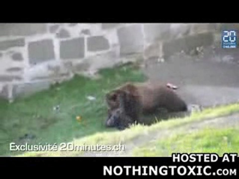 Ours Vs Handicapé [liddel]