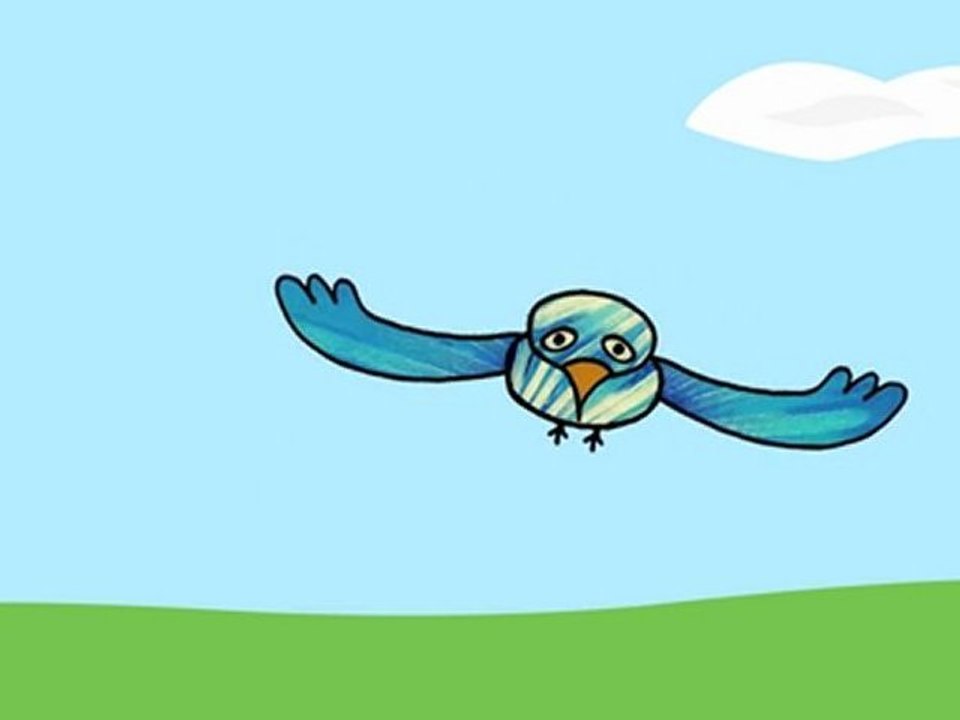 Vol d'oiseau