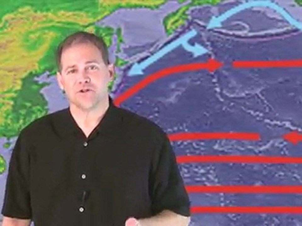 inFact: The Pacific Garbage Patch