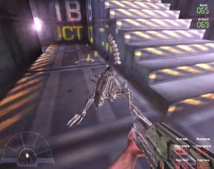 WT AvP 2000 classic (2): j'ai peur du noir