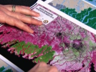 Королевский бенгальский тигр может исчезнуть с лица земли