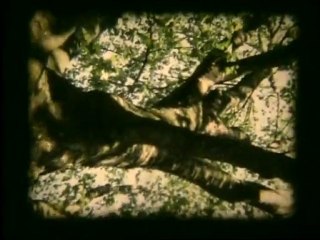 Karlito-First 133 Мb vob