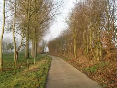 Diaporama de l'année 2008 - 2ème partie