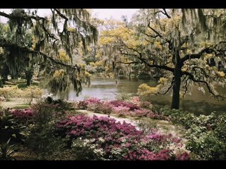 ilker & alikemal - Turnalar