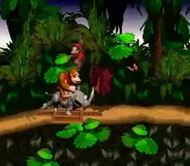 bug raro del donkey kong country de la snes